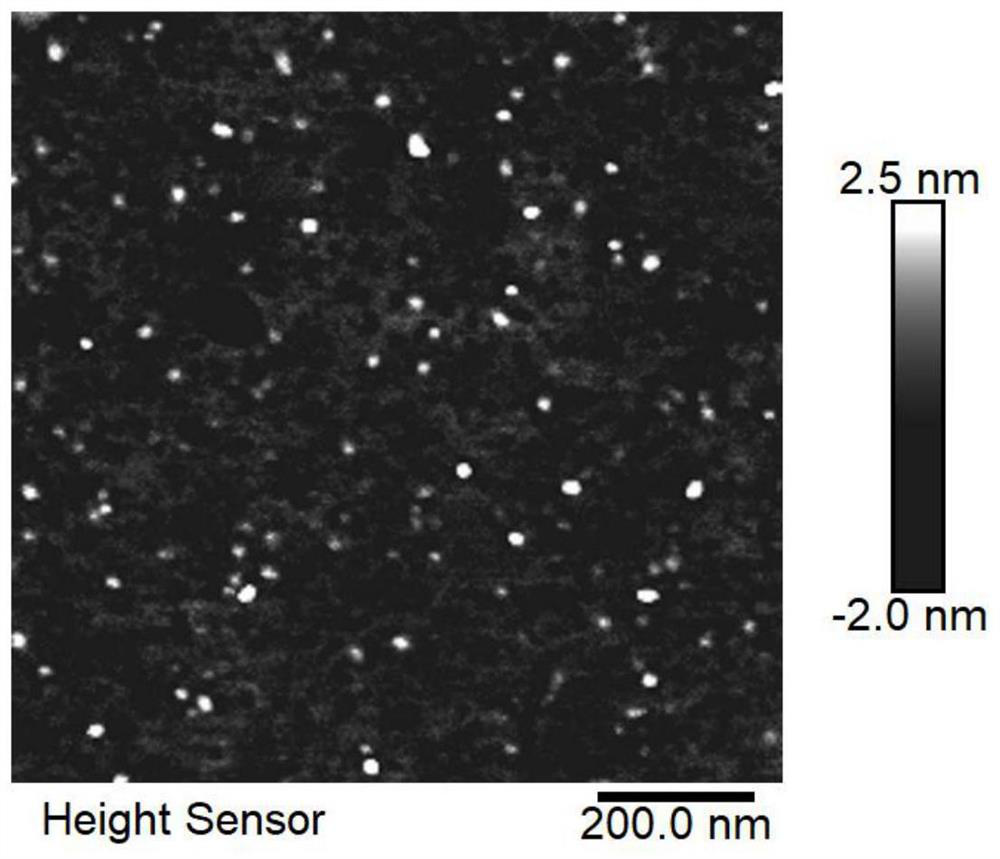 A self-assembled carnosine fluorescent nanoparticle, preparation method and application