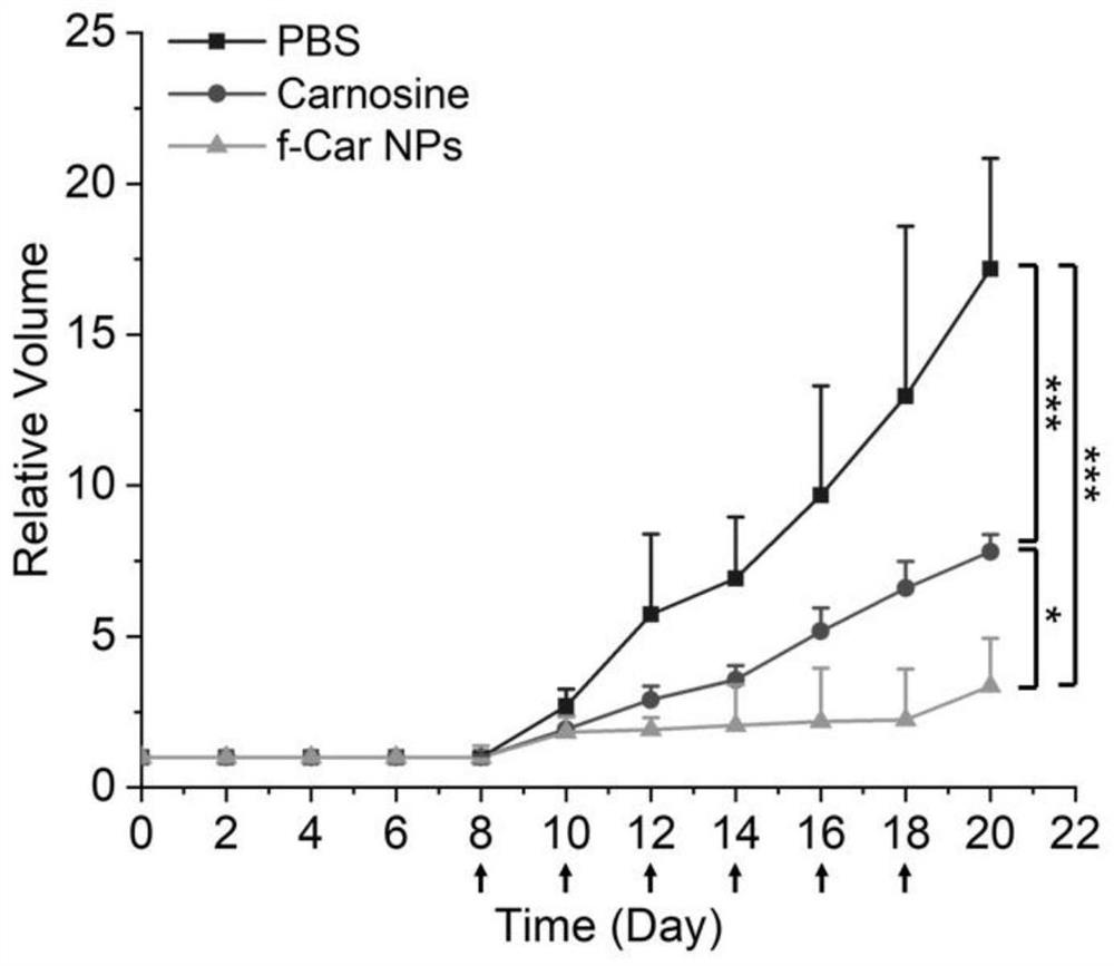 A self-assembled carnosine fluorescent nanoparticle, preparation method and application