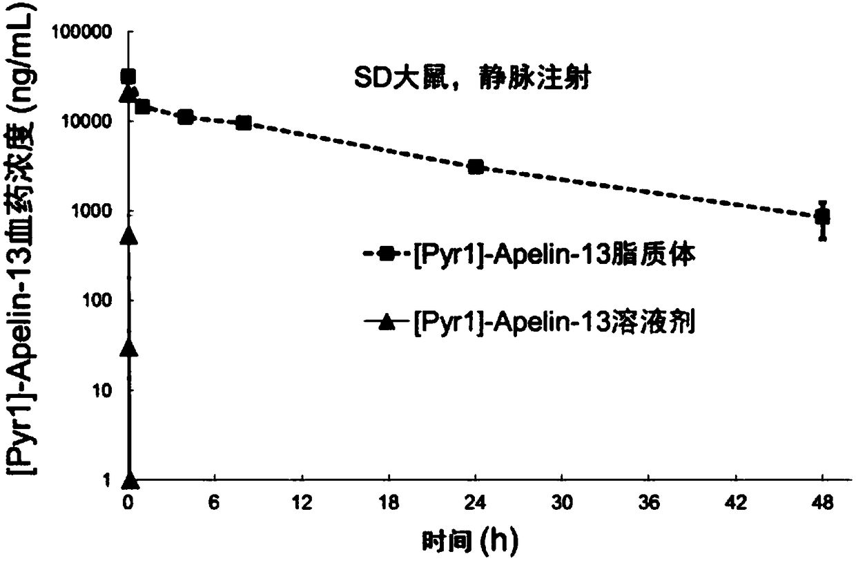 Apelin liposome and preparation method thereof