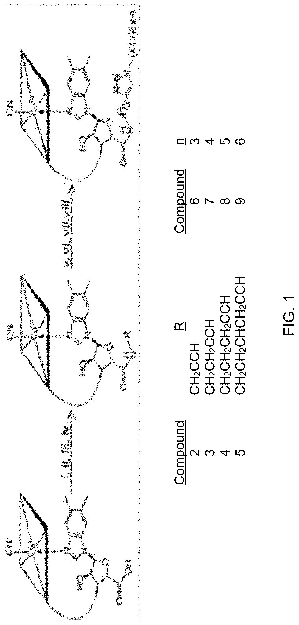 Glycemic Control Using Intrinsic Factor Bound to A Vitamin B12 Conjugate of a Glucagon-Like Peptide-1 Receptor Agonist