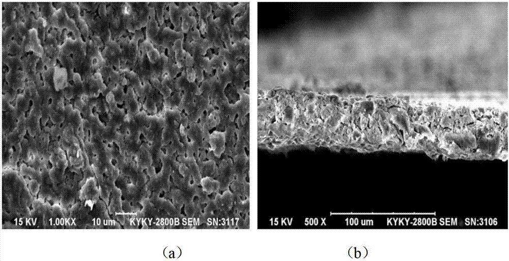 Novel lithium ion battery diaphragm with inorganic coating and preparation method thereof