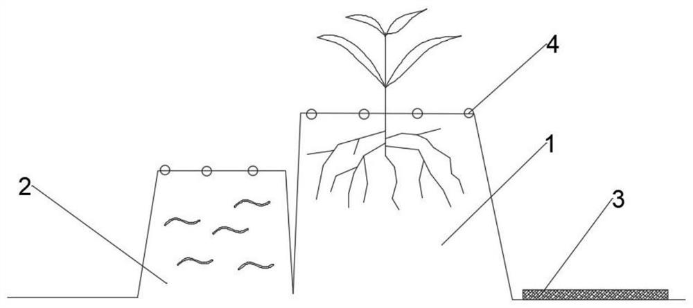 Earthworm horticultural crop three-dimensional planting and breeding structure