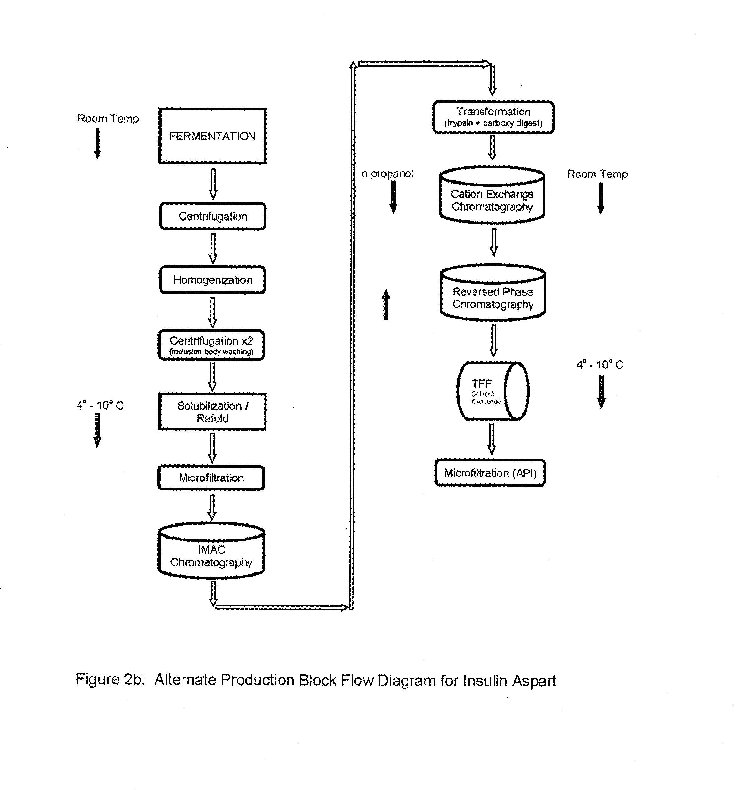 Aspart Proinsulin Compositions and Methods of Producing Aspart Insulin Analogs