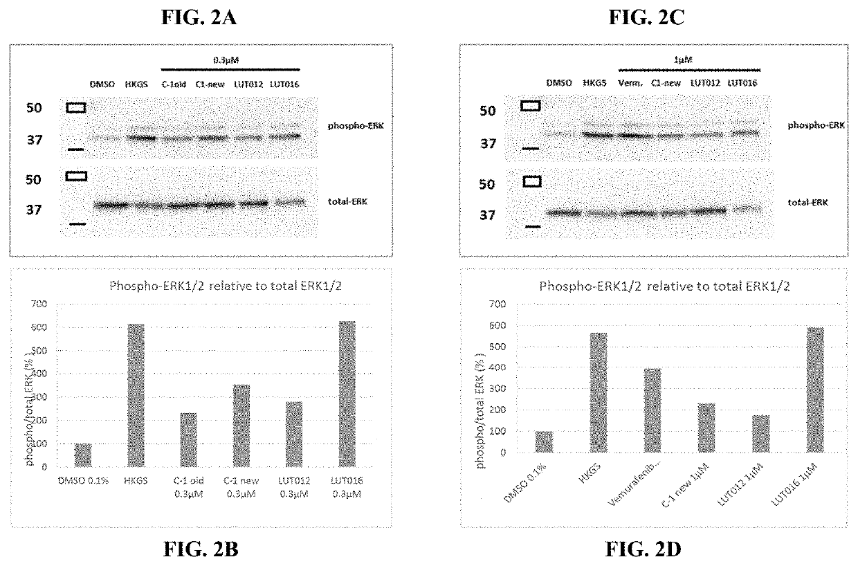 BRaf inhibitors and use thereof for treatment of cutaneous reactions