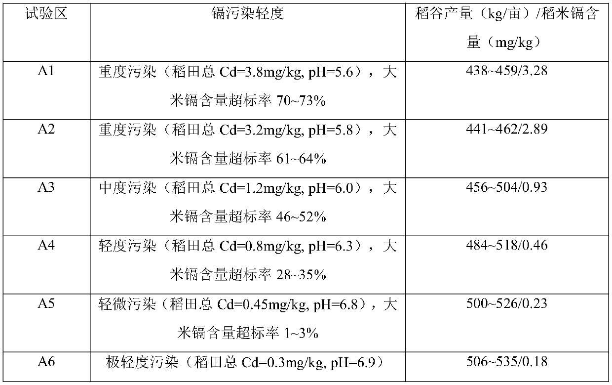 Rice production method for lowering heavy metal cadmium pollution