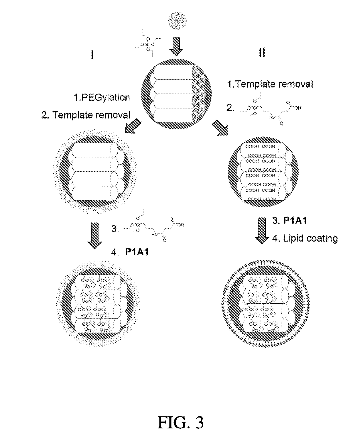 Compositions and associated methods of mesoporous nanoparticles comprising platinum-acridine molecules