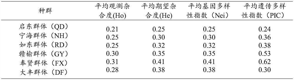 Breeding method of low-salt tolerant exopalaemon carinicauda strain