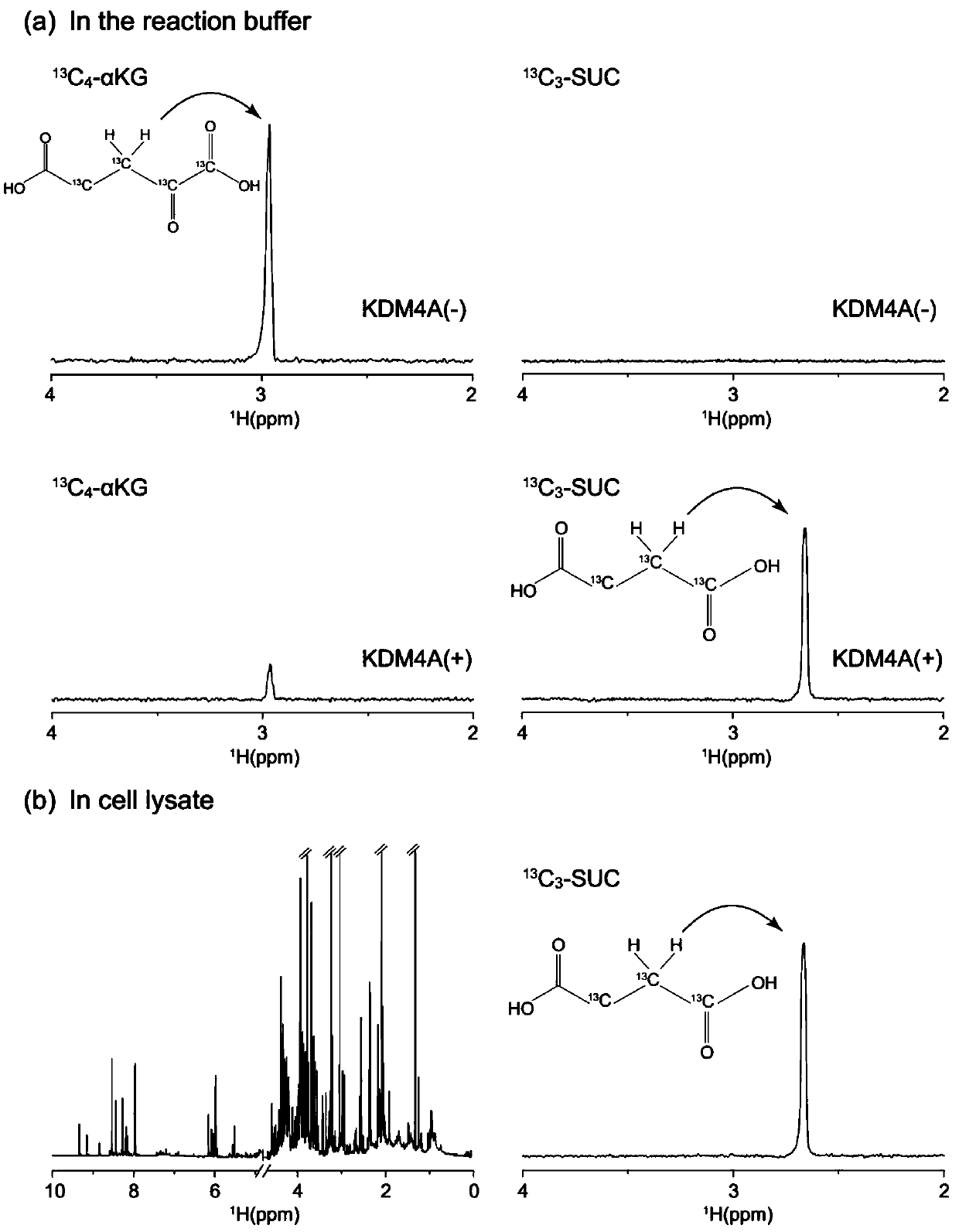Method for evaluating demethyltransferase activity of histone lysine