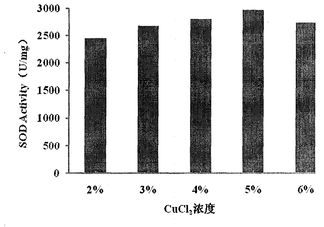 Production method for recombinant humanized superoxide dismutase