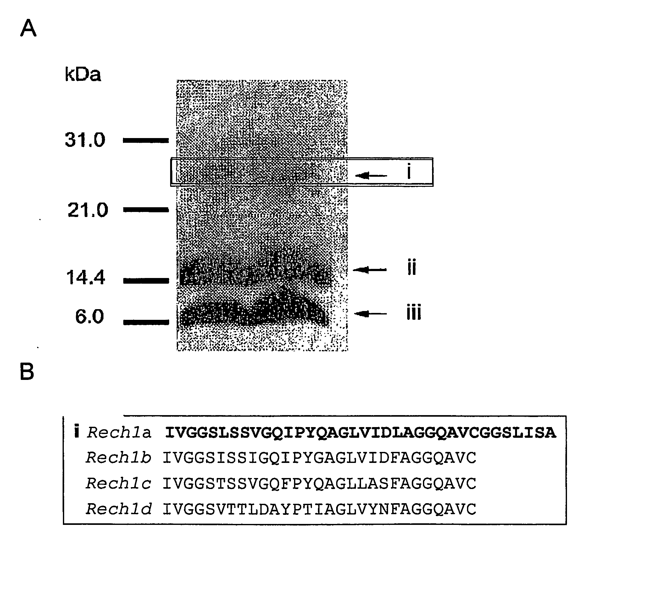 Insect Chymotrypsin and Inhibitors Thereof