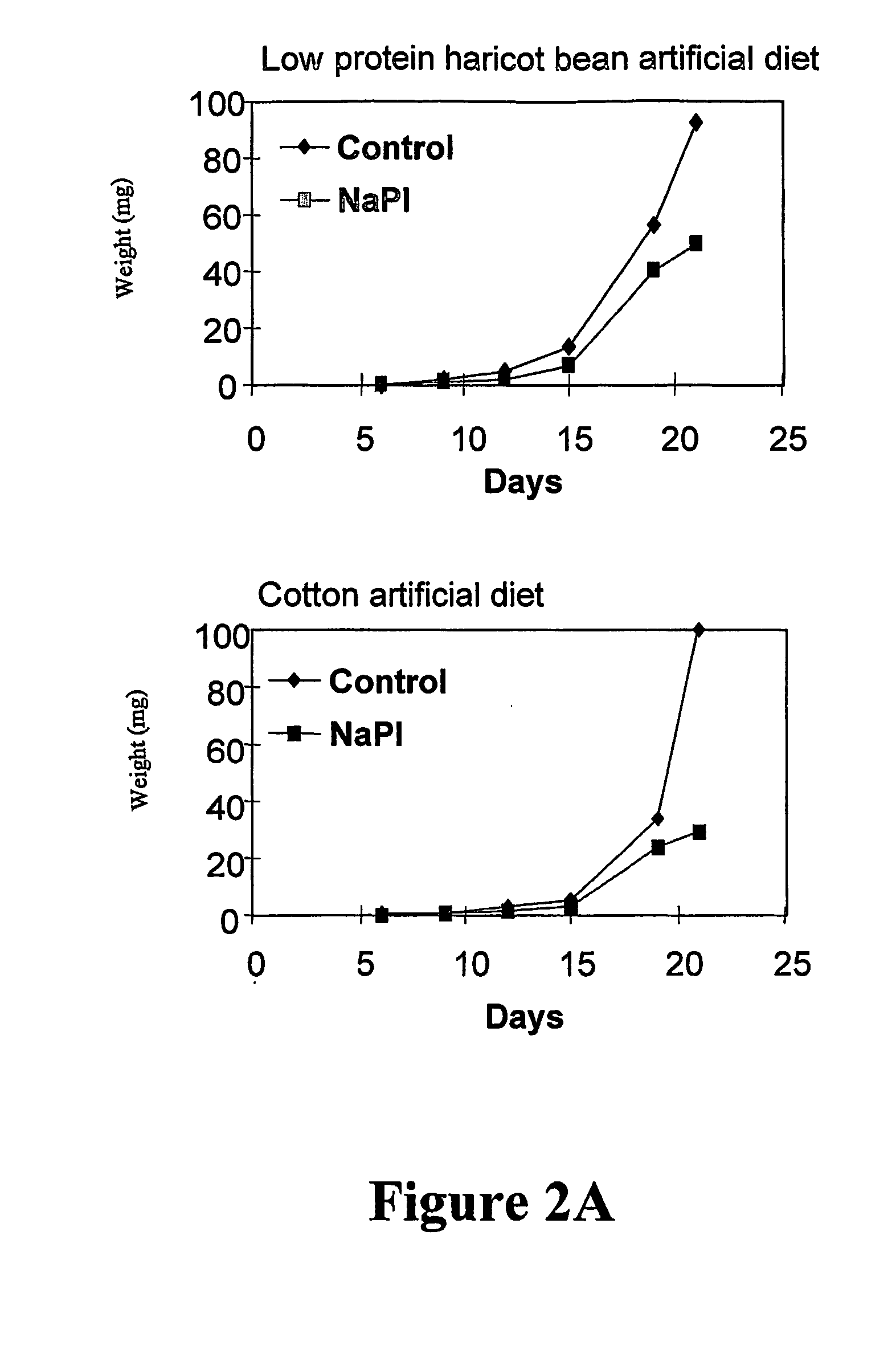 Insect Chymotrypsin and Inhibitors Thereof