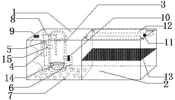 Safety chopsticks washer