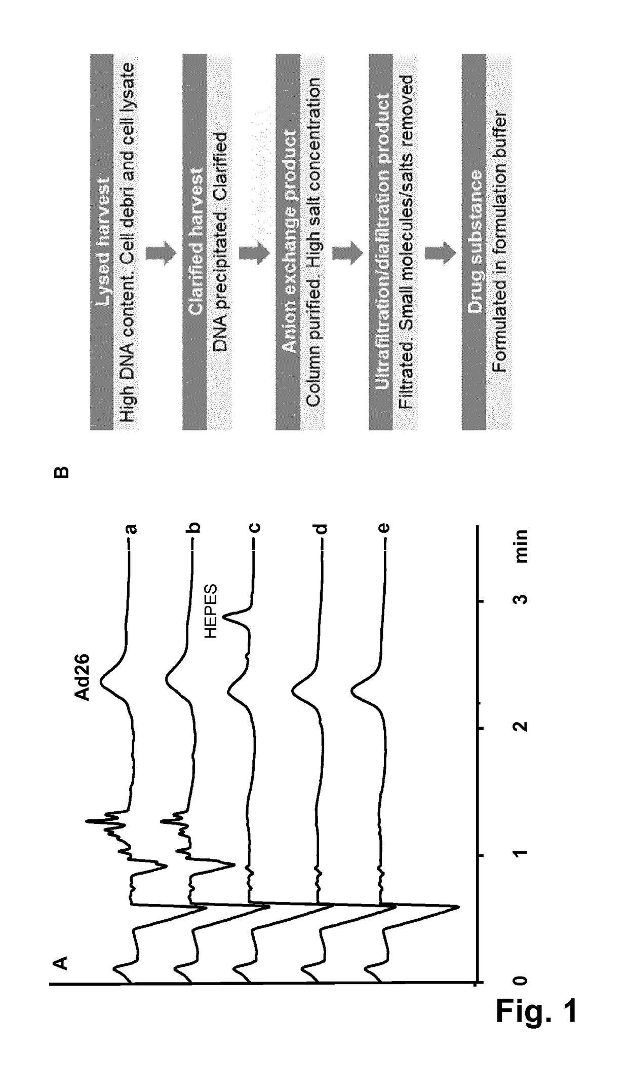 Method for quantification of virus particles using capillary zone electrophoresis