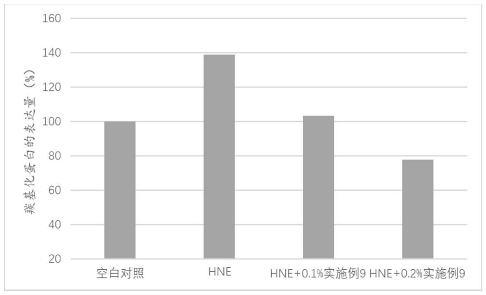 Anti-aging composition as well as preparation method and application thereof