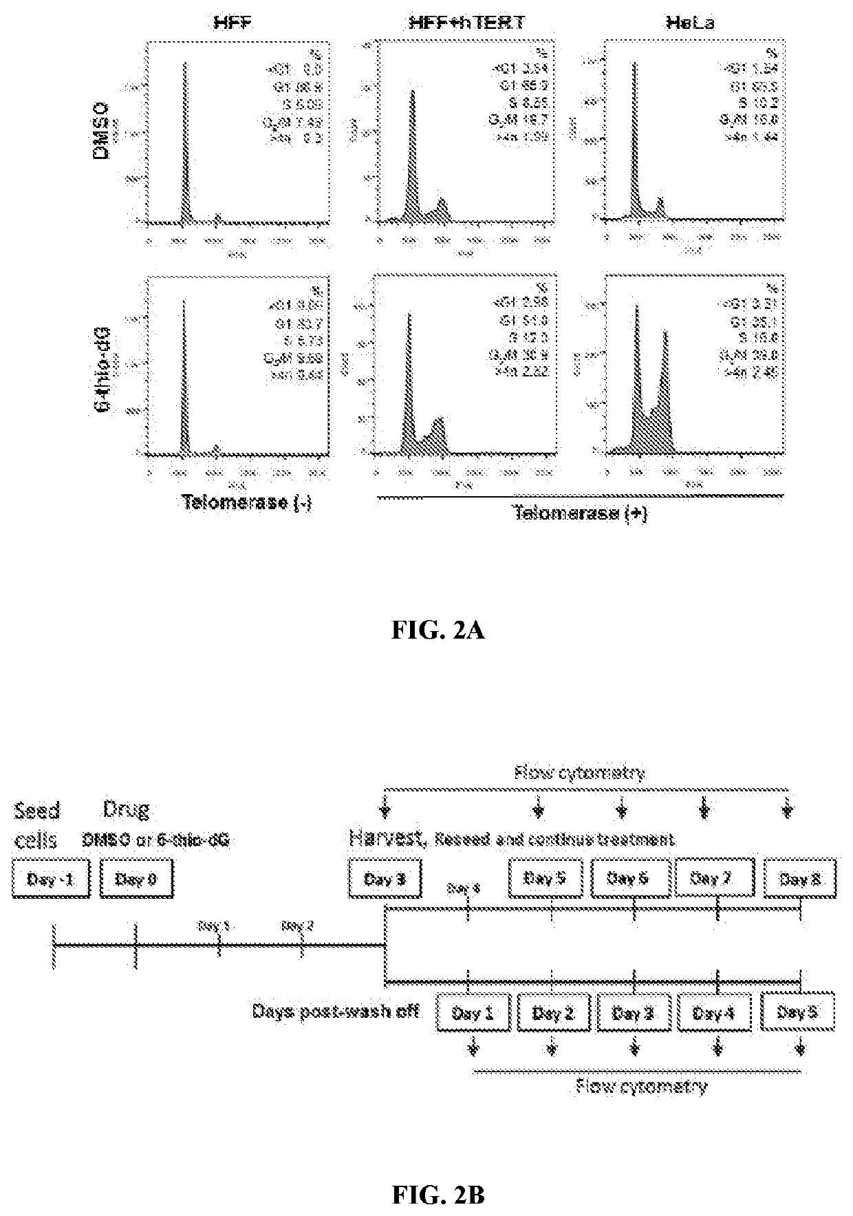 USE OF 6-THIO-dG TO TREAT THERAPY-RESISTANT TELOMERASEPOSITIVE PEDIATRIC BRAIN TUMORS