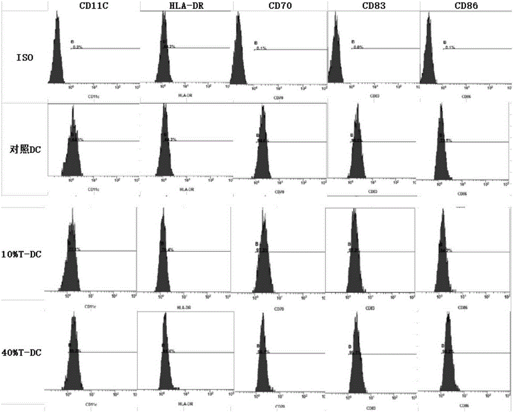 Kit for activating head-neck cancer specific immunity response