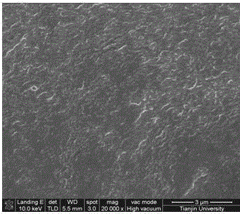 Chitosan/in-situ amphoteric silicon-titanium hybrid film and its preparation method and application