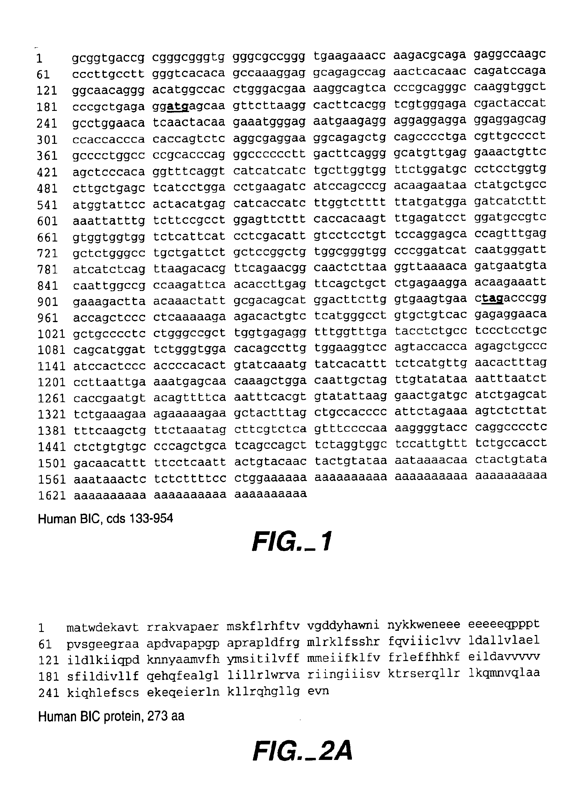 Modulators of leukocyte activation, BIC compositions and methods of use