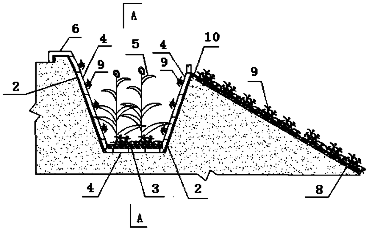 Renewable Filler-Plant Combined Ditch-Slope Protection Nitrogen and Phosphorus Ecological Interception System