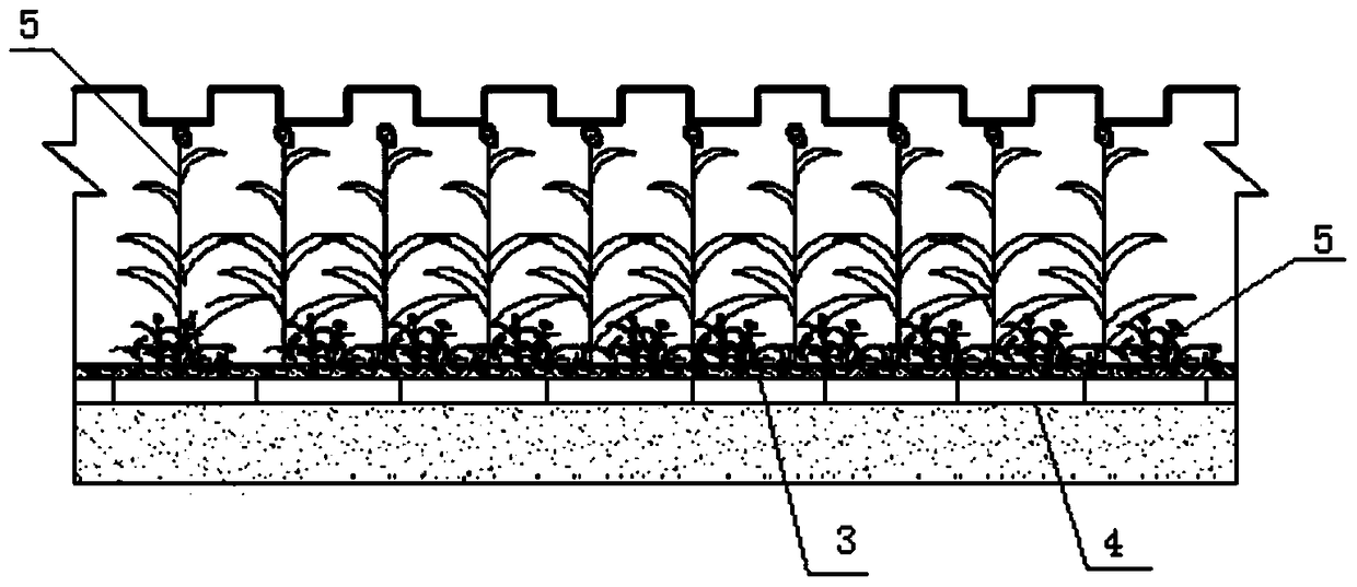 Renewable Filler-Plant Combined Ditch-Slope Protection Nitrogen and Phosphorus Ecological Interception System