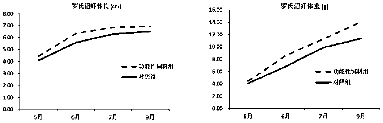 Early functional feed for macrobrachium rosenbergii and preparation method thereof