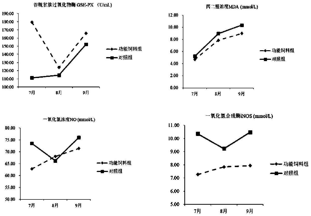 Early functional feed for macrobrachium rosenbergii and preparation method thereof