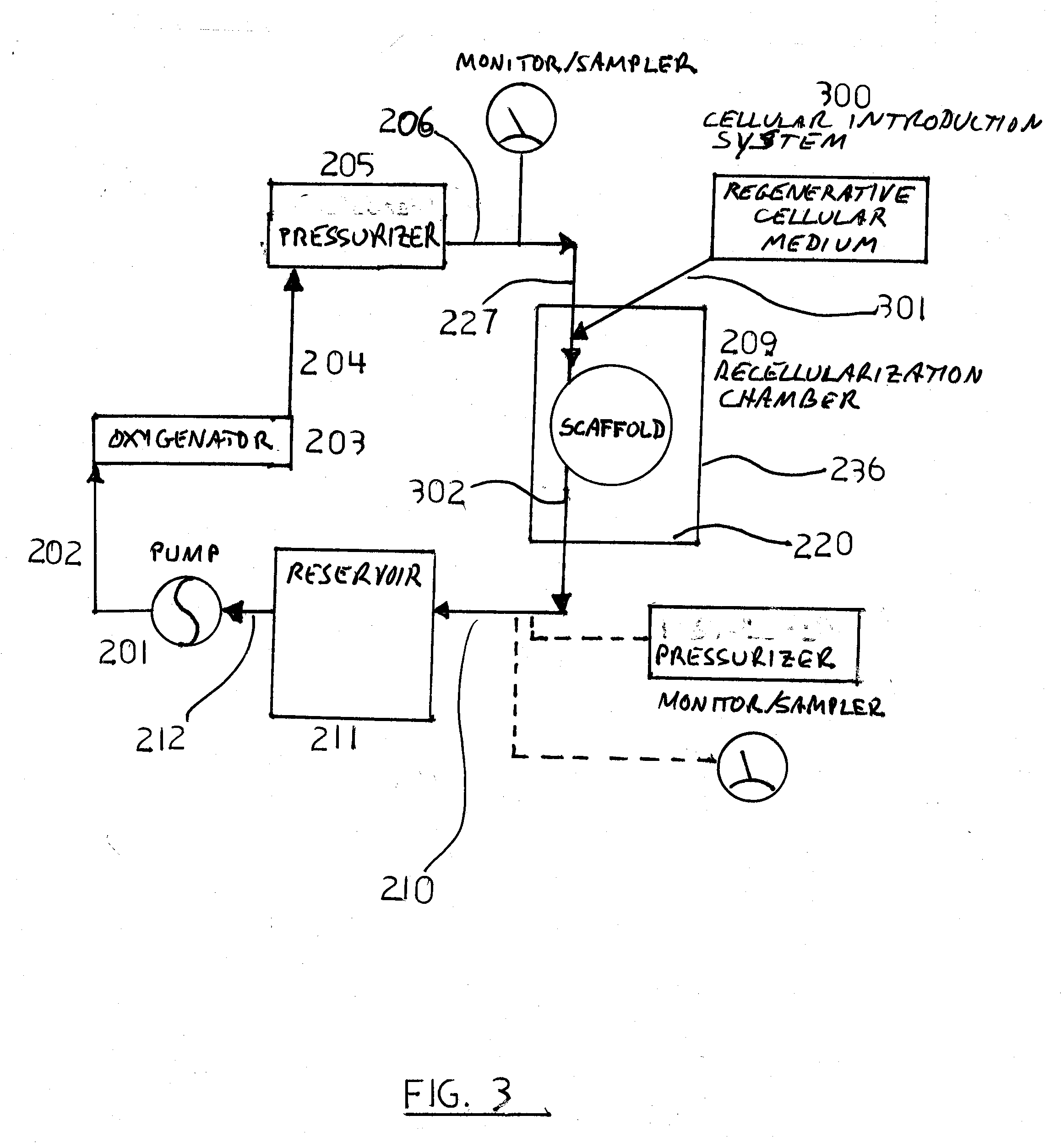 Decellularization and recellularization apparatuses and systems containing the same