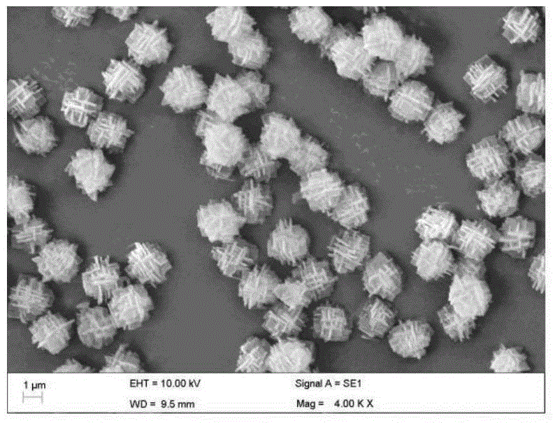 Nanosheet self-assembled SAPO-34 molecular sieve and preparation method thereof