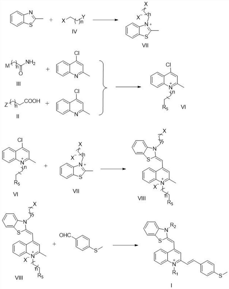Thiazole orange derivative, preparation and application thereof in mitochondria
