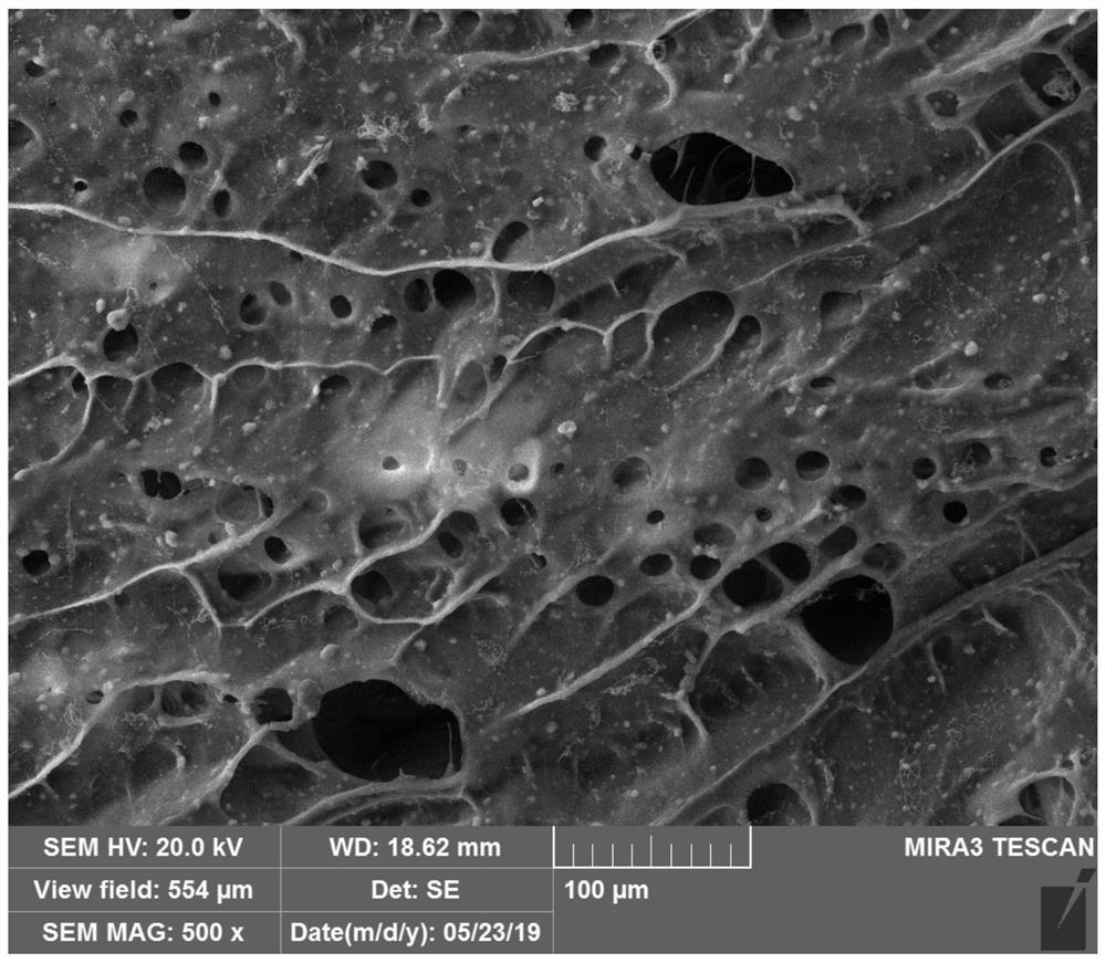 Preparation method of a wood-based biomimetic bone scaffold material