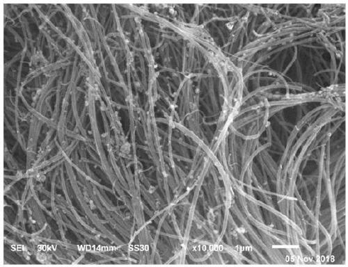 Preparation method and application of nano molybdenum disulfide/nitrogen-doped carbon nanotube array hybrid composite electrode