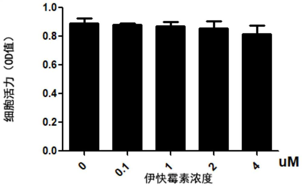 Application of Iquamycin in Preparation of Osteoclast Differentiation Inhibitor