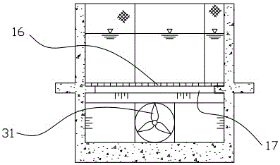 Multifunctional circulating water tank for fish swimming