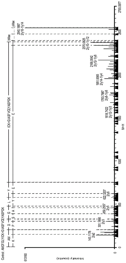 Analysis method for disulfide bond pairing of fusion protein