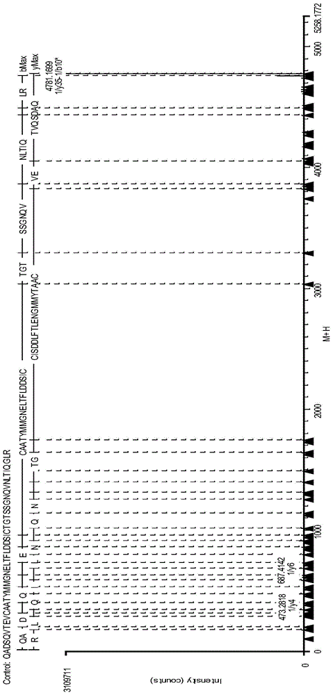 Analysis method for disulfide bond pairing of fusion protein