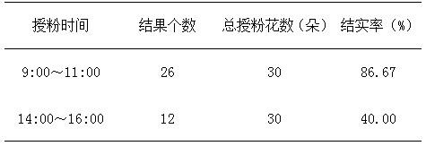 A kind of method for artificial pollination of Chinese bitter rose