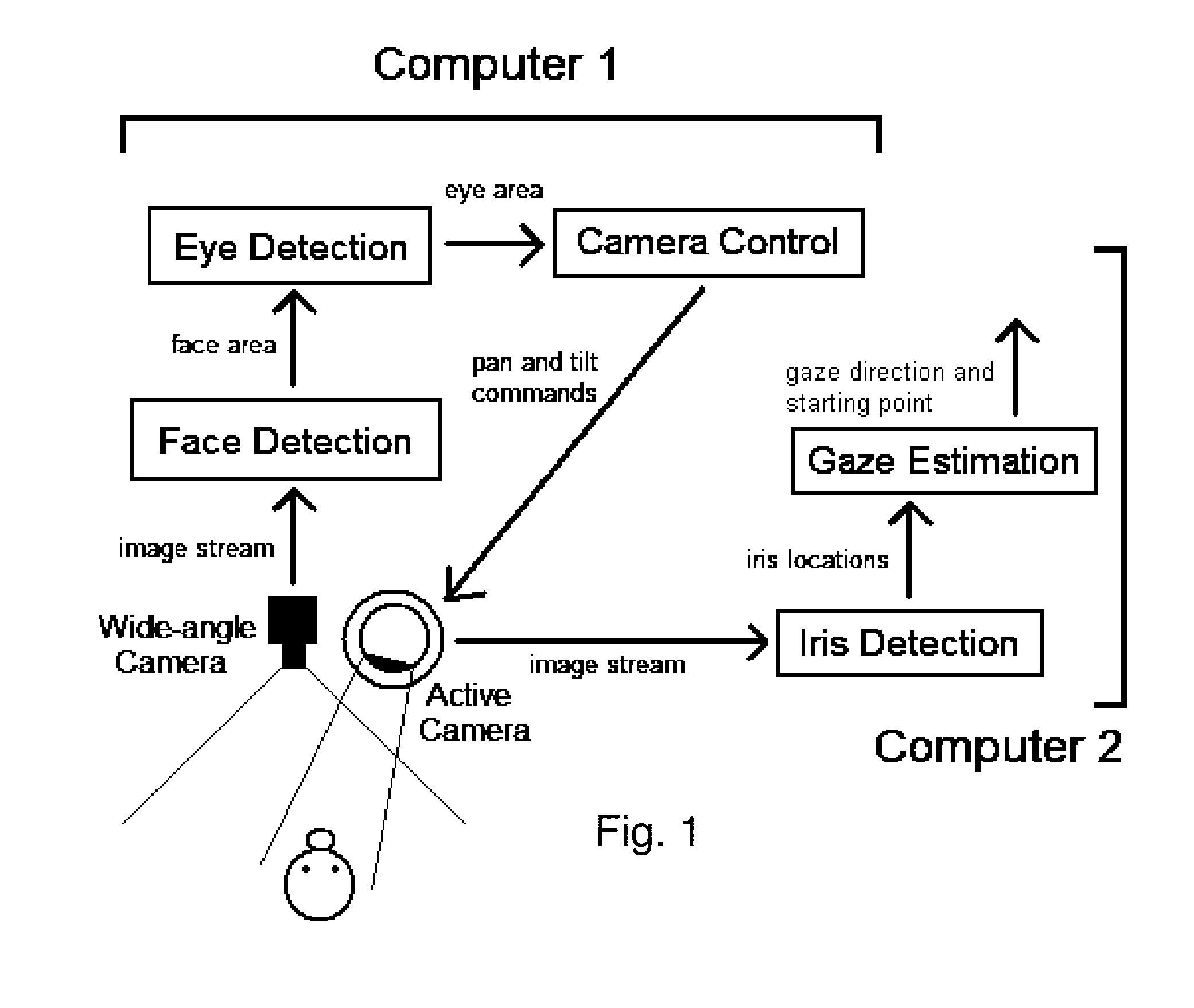 Real time eye tracking for human computer interaction