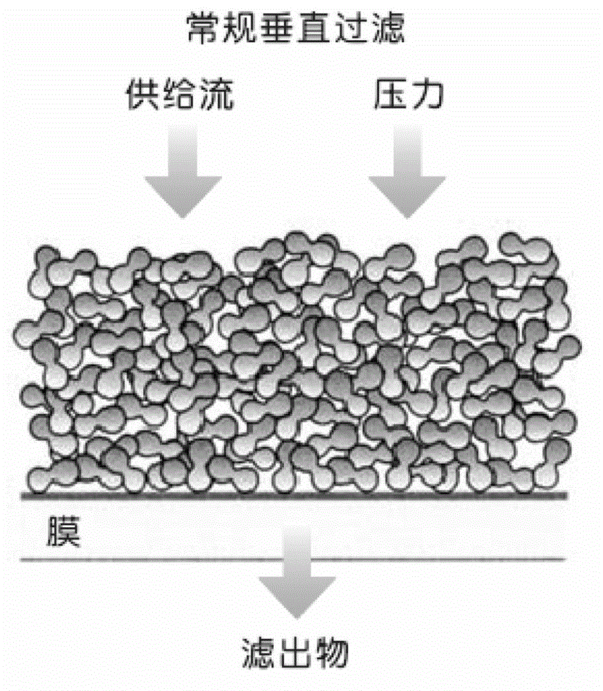 Preparation method and application of pig small intestine compound antibacterial peptide