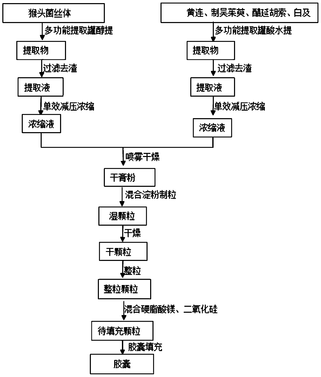 Traditional Chinese medicine composition, preparation method and application in preparing drug for treating chronic non-atrophic gastritis