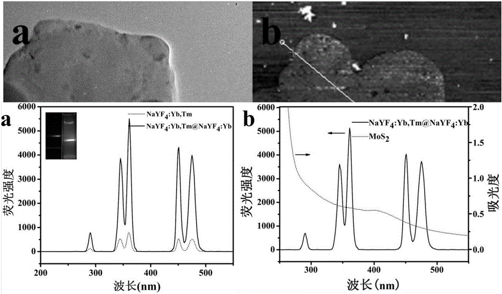 Method for detecting microcystin LR based on fluorescence resonance energy transfer of shell-core type up-conversion material and molybdenum disulfide