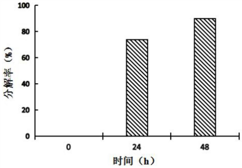 Lignocellulose material efficient decomposition composite bacterial system and culture method thereof