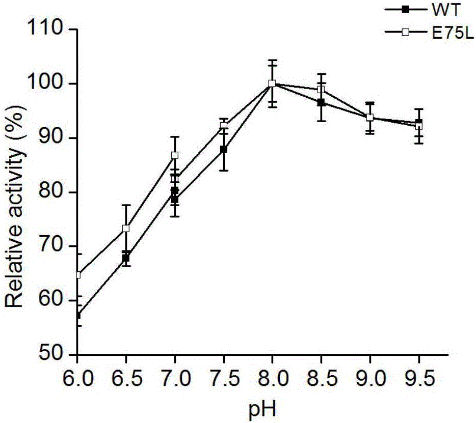Mutant of phenylalanine deaminase with anabaena source