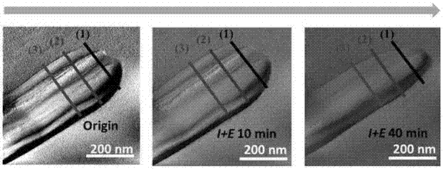 Plasmon effect-based electric field-assisted method for repairing self-morphology of Ag nanowires