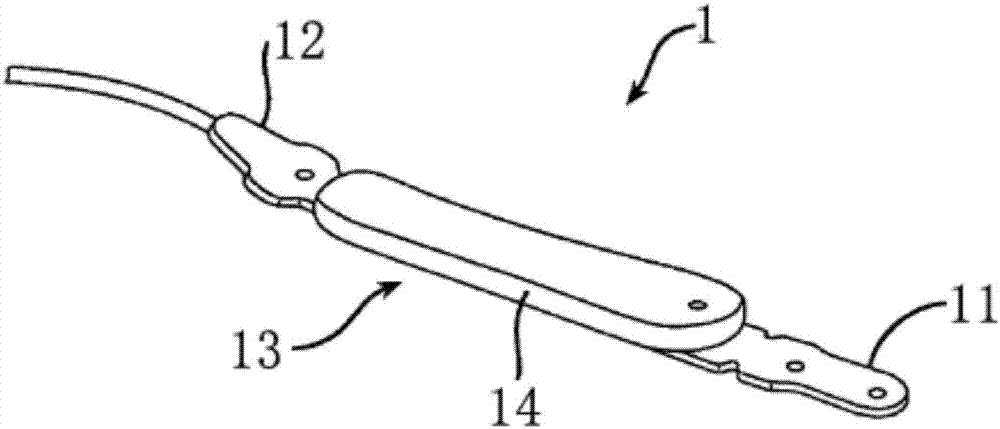 Adjustment device and method for adjusting injection port position of implanted tissue