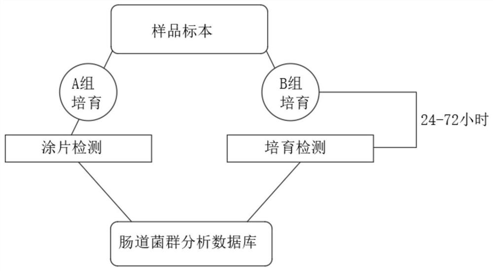 Health evaluation method taking intestinal flora characteristics as core