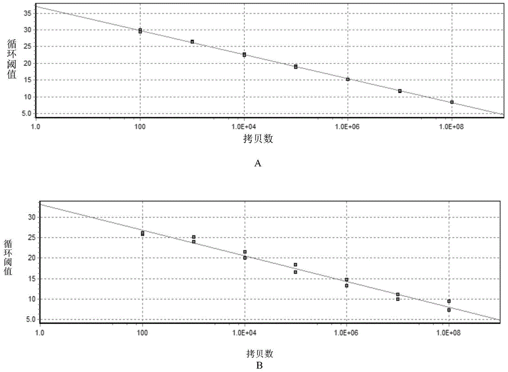 Fluorescent quantitative PCR detection method for TLR3 (toll-like receptors) gene of duck