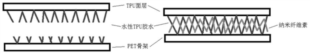 Temperature-resistant tpu light conveyor belt and manufacturing method thereof