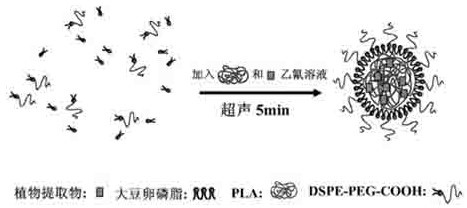 Core-shell nano particle for covering plant extractive and preparation method thereof