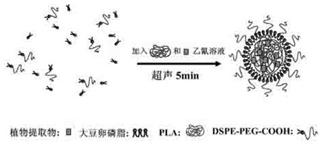 Core-shell nano particle for covering plant extractive and preparation method thereof