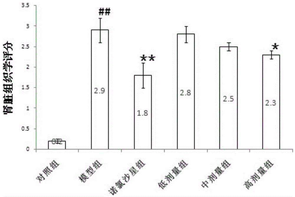 Composition and application of composition as well as medicine, food, beverage or health product comprising composition